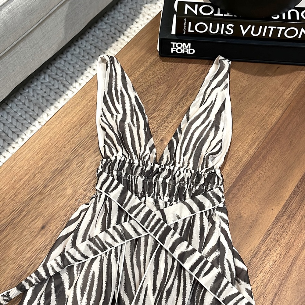 Vici Zebra Print Maxi Dress